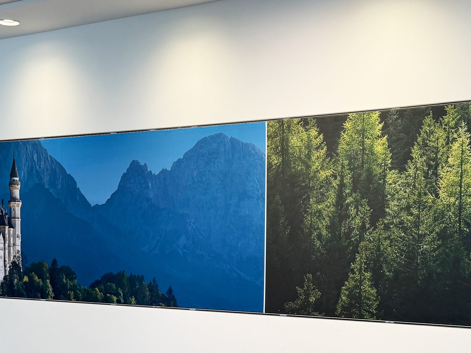 Wandfüllendes Akustikbild mit Schloss- und Waldpanorama in einem Schulungsraum