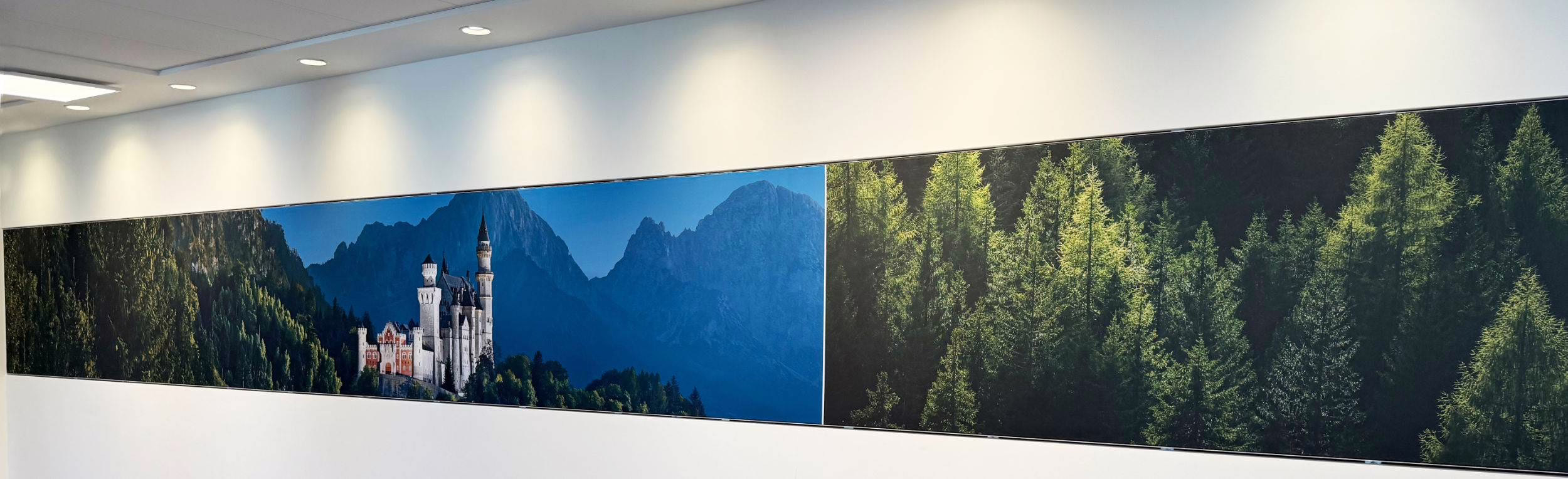 Maßgeschneiderte Akustik-Wandbilder mit Wunschmotiv